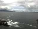 ./images/koeye/fitz-hugh/20160613/fitz-hugh20160613_122702.jpg