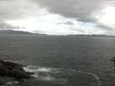 ./images/koeye/fitz-hugh/20160613/fitz-hugh20160613_140302.jpg
