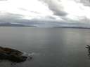 ./images/koeye/fitz-hugh/20160614/fitz-hugh20160614_050303.jpg