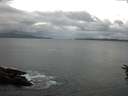 ./images/koeye/fitz-hugh/20160614/fitz-hugh20160614_060302.jpg