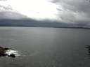 ./images/koeye/fitz-hugh/20160614/fitz-hugh20160614_100302.jpg