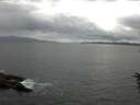 ./images/koeye/fitz-hugh/20160614/fitz-hugh20160614_120302.jpg