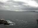 ./images/koeye/fitz-hugh/20160614/fitz-hugh20160614_121505.jpg