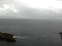 ./images/koeye/fitz-hugh/20160614/fitz-hugh20160614_140003.jpg