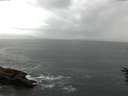 ./images/koeye/fitz-hugh/20160614/fitz-hugh20160614_143302.jpg