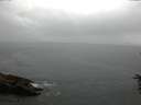 ./images/koeye/fitz-hugh/20160614/fitz-hugh20160614_150301.jpg
