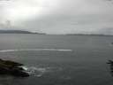 ./images/koeye/fitz-hugh/20160614/fitz-hugh20160614_170302.jpg