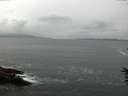 ./images/koeye/fitz-hugh/20160614/fitz-hugh20160614_173302.jpg