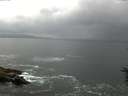 ./images/koeye/fitz-hugh/20160614/fitz-hugh20160614_183302.jpg