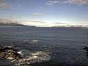 ./images/koeye/fitz-hugh/20160615/fitz-hugh20160615_080005.jpg