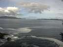 ./images/koeye/fitz-hugh/20160615/fitz-hugh20160615_093302.jpg