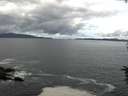 ./images/koeye/fitz-hugh/20160615/fitz-hugh20160615_103302.jpg