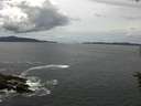 ./images/koeye/fitz-hugh/20160615/fitz-hugh20160615_130301.jpg