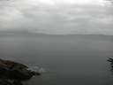 ./images/koeye/fitz-hugh/20160616/fitz-hugh20160616_060302.jpg