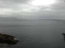 ./images/koeye/fitz-hugh/20160616/fitz-hugh20160616_080006.jpg