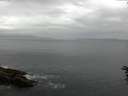 ./images/koeye/fitz-hugh/20160616/fitz-hugh20160616_080303.jpg