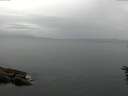 ./images/koeye/fitz-hugh/20160616/fitz-hugh20160616_090303.jpg