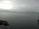 ./images/koeye/fitz-hugh/20160616/fitz-hugh20160616_093302.jpg
