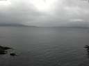 ./images/koeye/fitz-hugh/20160616/fitz-hugh20160616_113302.jpg