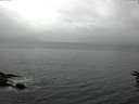 ./images/koeye/fitz-hugh/20160616/fitz-hugh20160616_122402.jpg