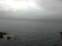./images/koeye/fitz-hugh/20160616/fitz-hugh20160616_122701.jpg