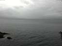 ./images/koeye/fitz-hugh/20160616/fitz-hugh20160616_123302.jpg