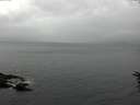 ./images/koeye/fitz-hugh/20160616/fitz-hugh20160616_130301.jpg
