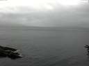 ./images/koeye/fitz-hugh/20160616/fitz-hugh20160616_140003.jpg