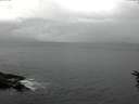./images/koeye/fitz-hugh/20160616/fitz-hugh20160616_140302.jpg