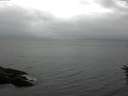 ./images/koeye/fitz-hugh/20160616/fitz-hugh20160616_150302.jpg