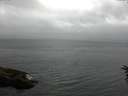 ./images/koeye/fitz-hugh/20160616/fitz-hugh20160616_160302.jpg