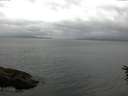 ./images/koeye/fitz-hugh/20160616/fitz-hugh20160616_163303.jpg