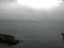 ./images/koeye/fitz-hugh/20160616/fitz-hugh20160616_170302.jpg