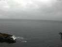 ./images/koeye/fitz-hugh/20160616/fitz-hugh20160616_183302.jpg