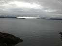 ./images/koeye/fitz-hugh/20160617/fitz-hugh20160617_070302.jpg