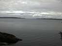 ./images/koeye/fitz-hugh/20160617/fitz-hugh20160617_080006.jpg