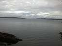 ./images/koeye/fitz-hugh/20160617/fitz-hugh20160617_080302.jpg
