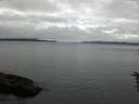 ./images/koeye/fitz-hugh/20160617/fitz-hugh20160617_083302.jpg