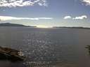 ./images/koeye/fitz-hugh/20160617/fitz-hugh20160617_163302.jpg