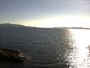 ./images/koeye/fitz-hugh/20160617/fitz-hugh20160617_183302.jpg