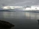 ./images/koeye/fitz-hugh/20160619/fitz-hugh20160619_083303.jpg