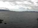 ./images/koeye/fitz-hugh/20160619/fitz-hugh20160619_140302.jpg