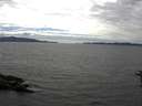 ./images/koeye/fitz-hugh/20160619/fitz-hugh20160619_160303.jpg