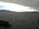 ./images/koeye/fitz-hugh/20160619/fitz-hugh20160619_180302.jpg