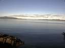 ./images/koeye/fitz-hugh/20160620/fitz-hugh20160620_080005.jpg