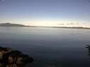 ./images/koeye/fitz-hugh/20160620/fitz-hugh20160620_083302.jpg