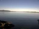 ./images/koeye/fitz-hugh/20160620/fitz-hugh20160620_090303.jpg