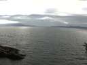 ./images/koeye/fitz-hugh/20160620/fitz-hugh20160620_183303.jpg