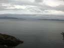 ./images/koeye/fitz-hugh/20160621/fitz-hugh20160621_063302.jpg