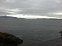 ./images/koeye/fitz-hugh/20160621/fitz-hugh20160621_090301.jpg